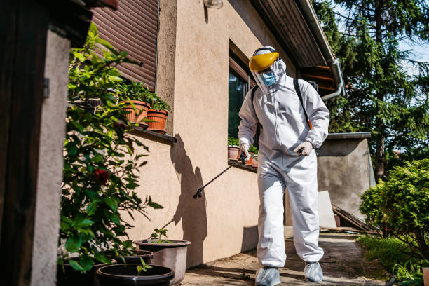 Trusted Midway, UT Pest Control Experts