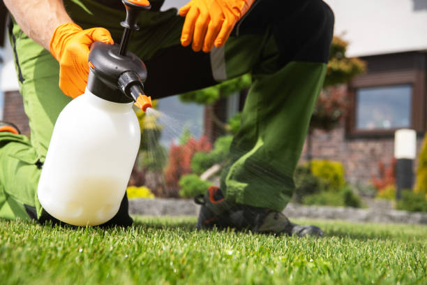 Best Mosquito Control Services  in Midway, UT