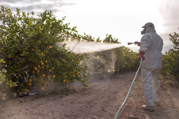 Best Commercial Pest Control Services  in Midway, UT