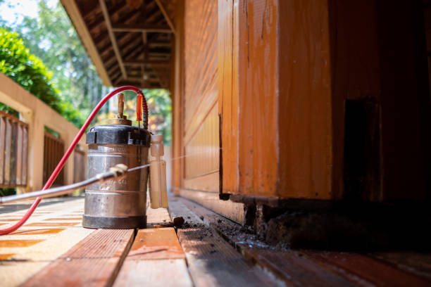Best Best Pest Control Companies  in Midway, UT