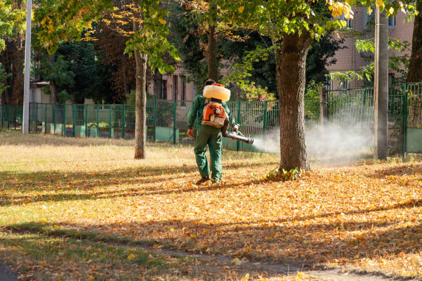 Best Wasp Removal Services  in Midway, UT
