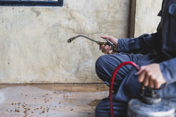 Best Pest Control for Homes  in Midway, UT