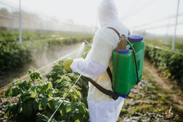 Best Pest Control Cost  in Midway, UT